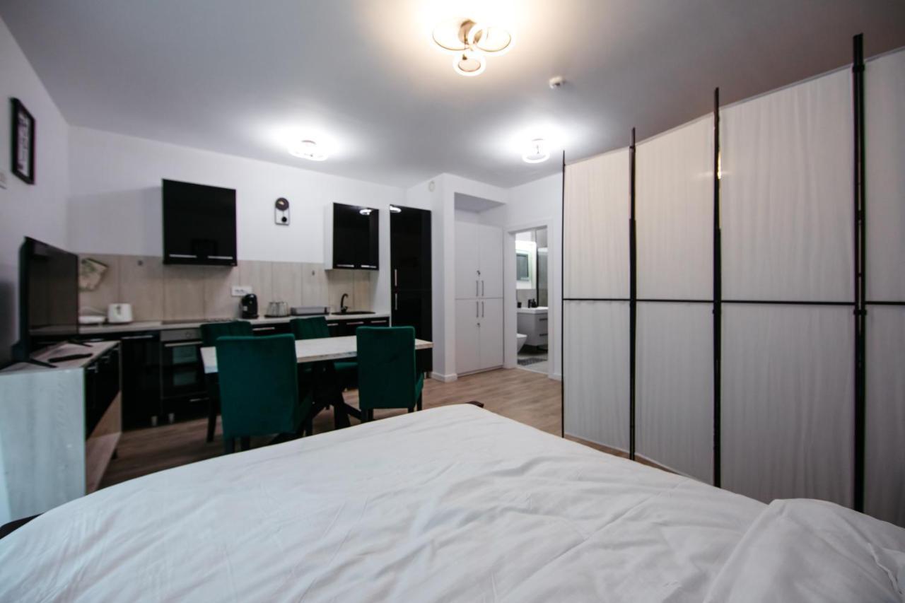 Apartmán L&V Family Studio Sinaia Exteriér fotografie