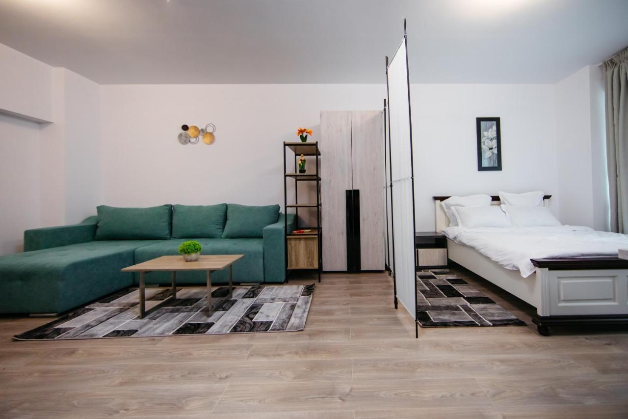 Apartmán L&V Family Studio Sinaia Exteriér fotografie