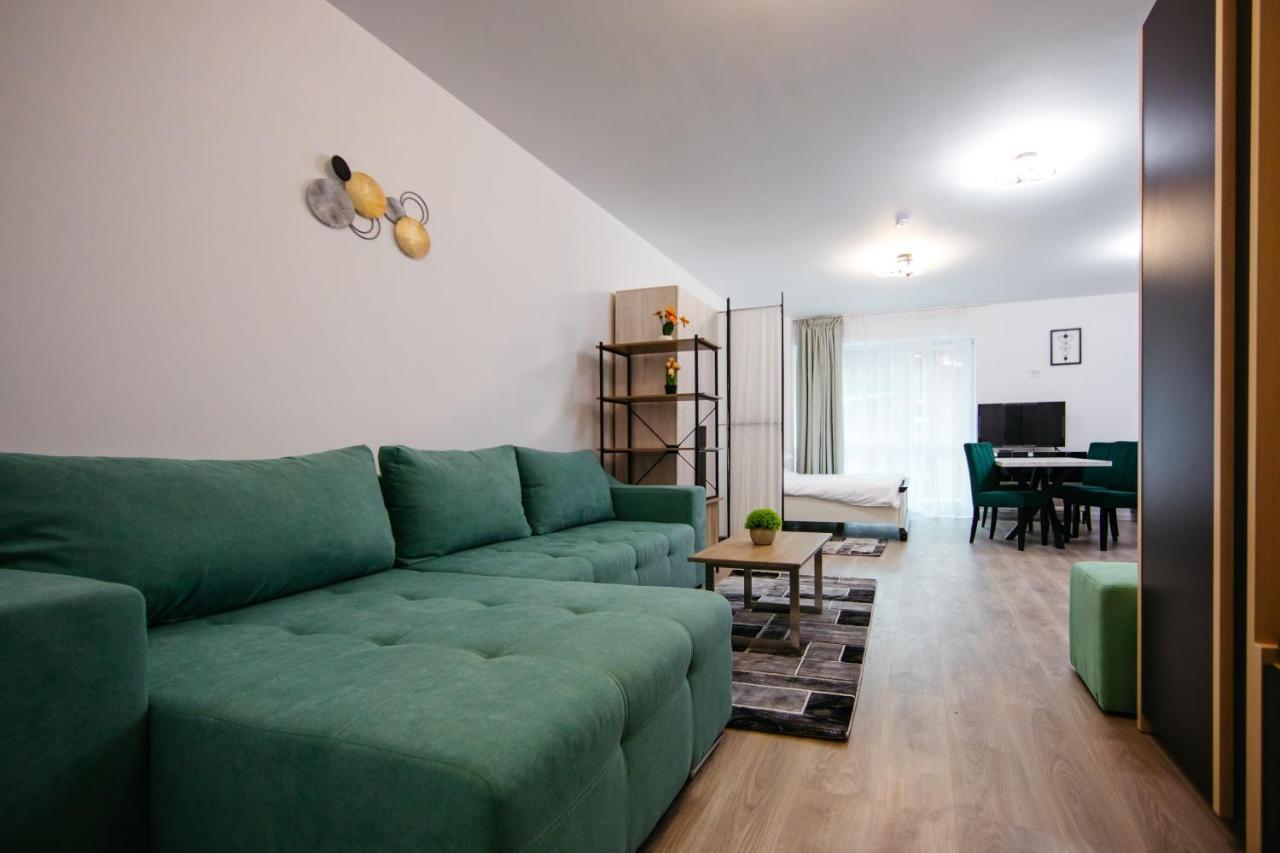 Apartmán L&V Family Studio Sinaia Exteriér fotografie