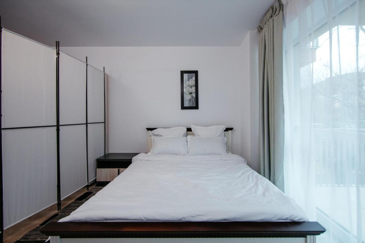 Apartmán L&V Family Studio Sinaia Exteriér fotografie